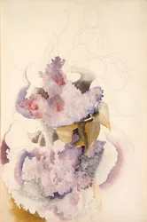 Lilacs